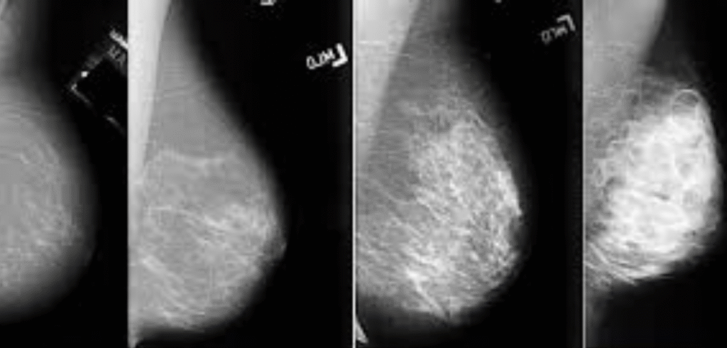 Неозаглавен дизайн