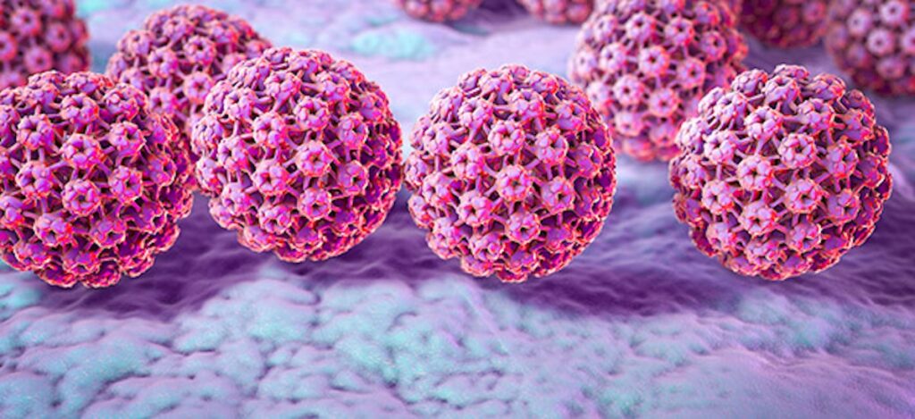 HPV и ракът на маточната шийка: каква е връзката hpv